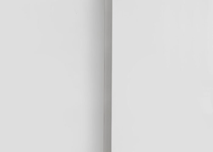 Wf101 003