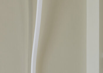Wf281 016